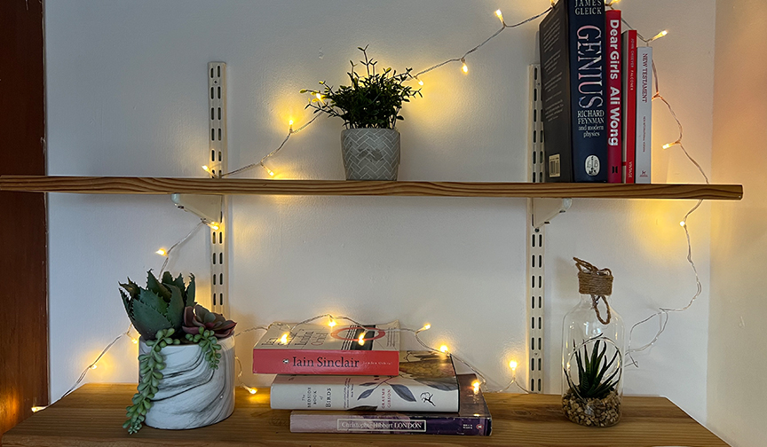 Plants to decorate the uni halls