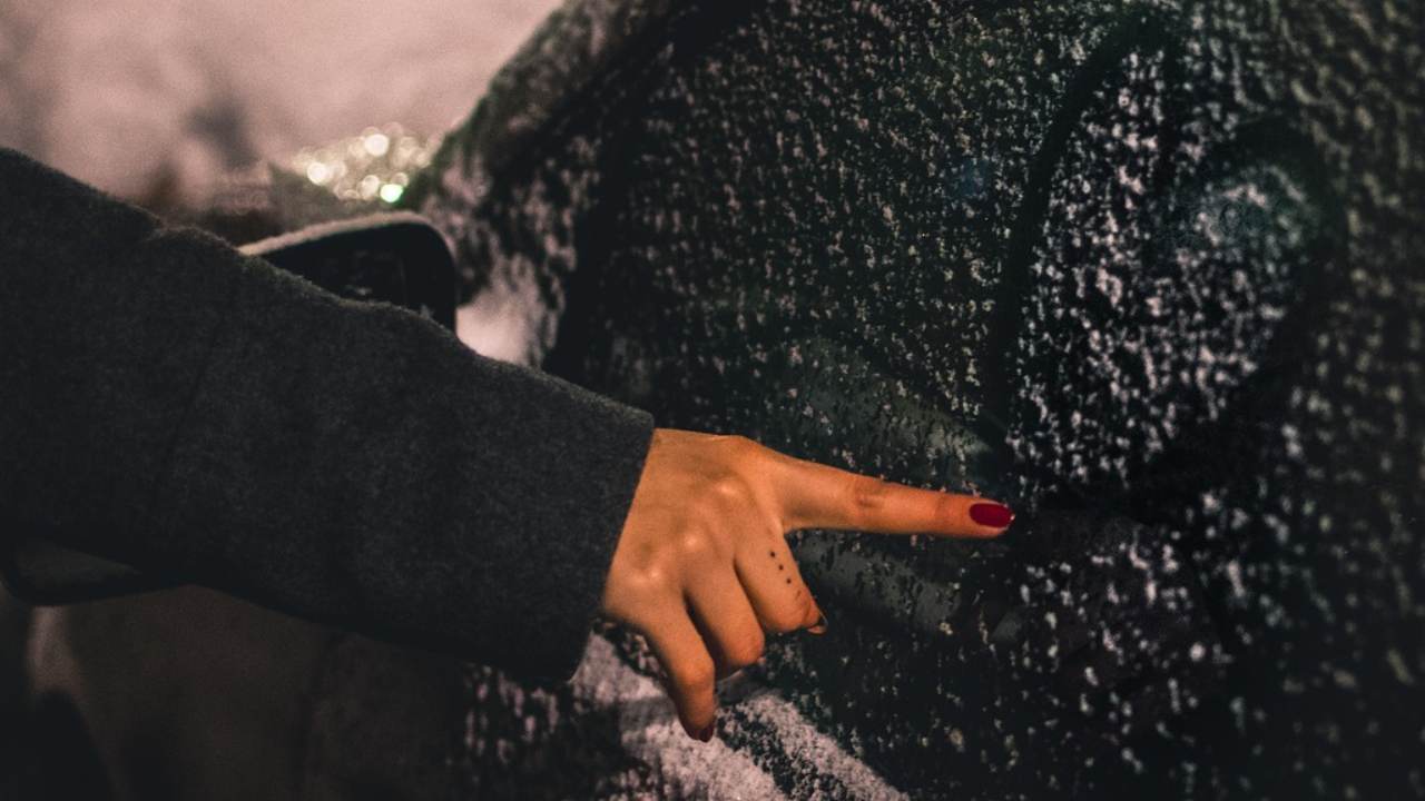 Love and care at student beehive Loughborough