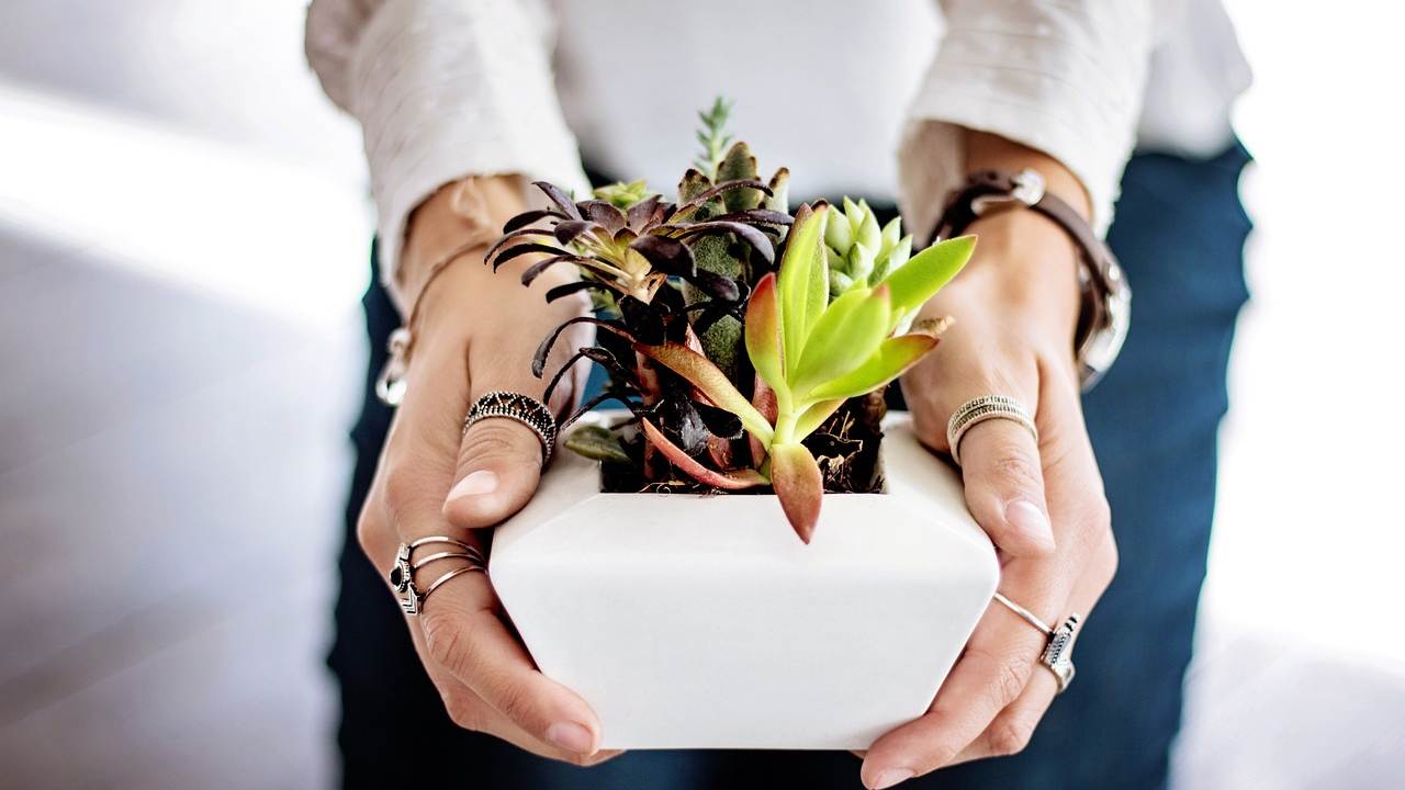 Nottingham Students with their plants