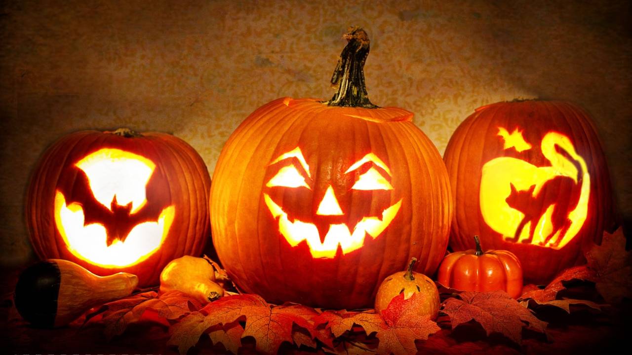 Halloween pumpkin carvings for our students at Student Beehive in Leicester