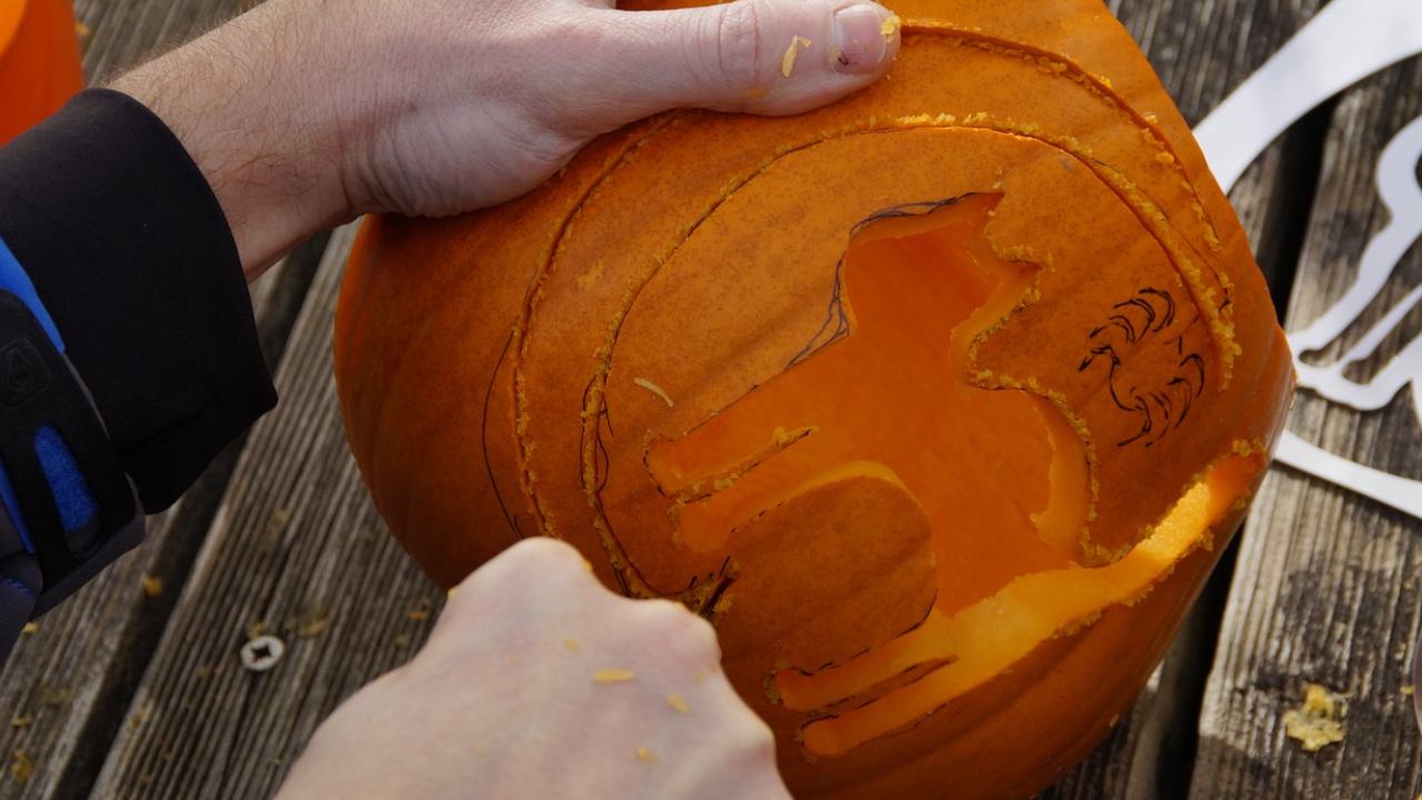 Leicester Students carving a pumpkin