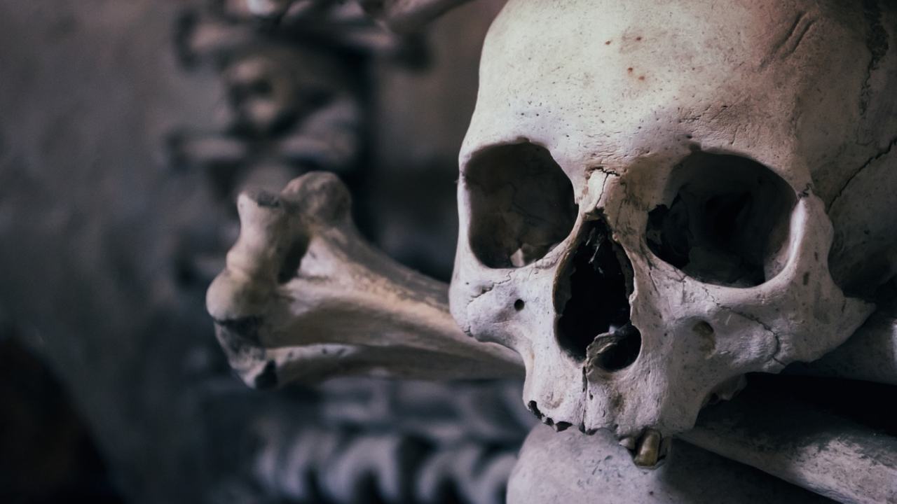 Skeleton for halloween