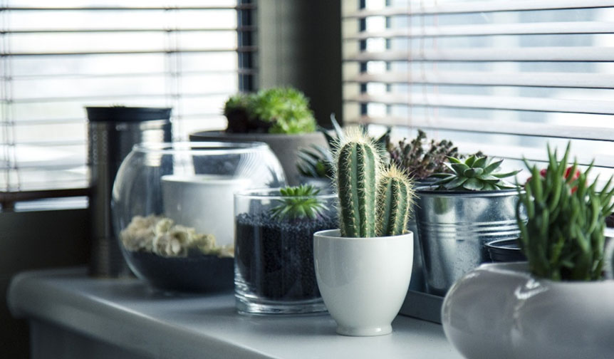 Decorate your Leicester student accommodation