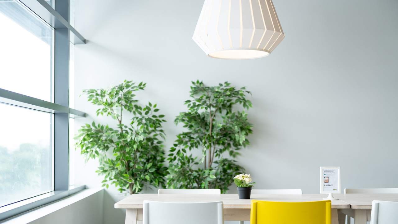 Create a Positive Living Environment at your Leicester studentaccommodation