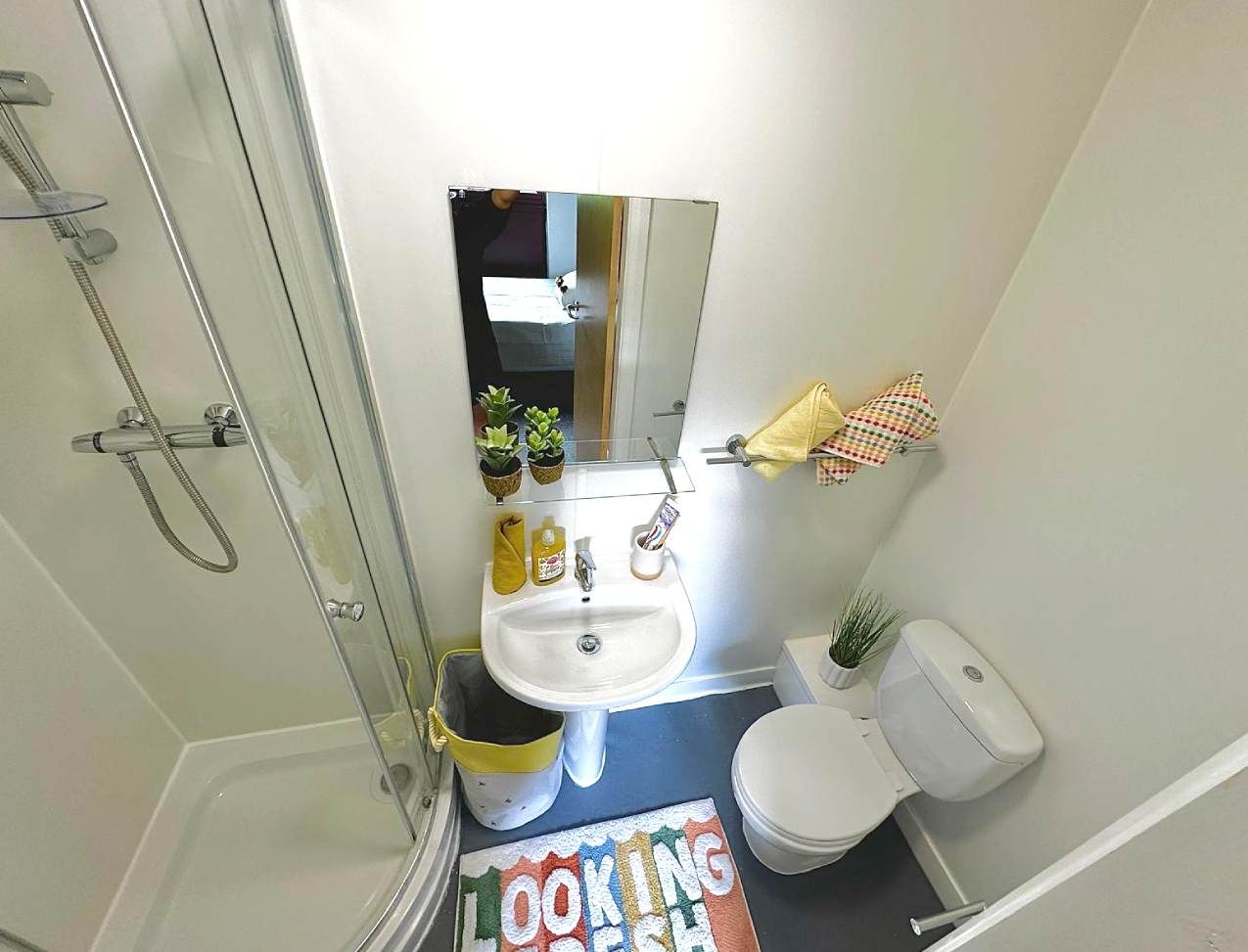 Forest Court: Ensuite Rooms Platinum - large shower room and sink